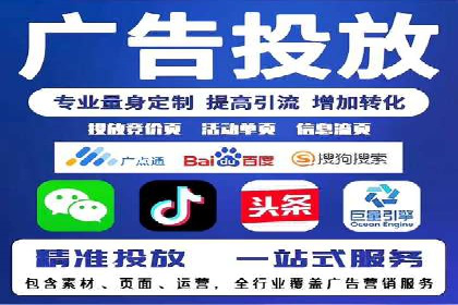 成功运用SEM服务实现品牌快速成长的案例